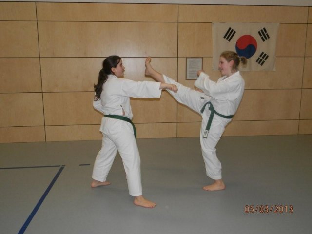 Taekwondo Training